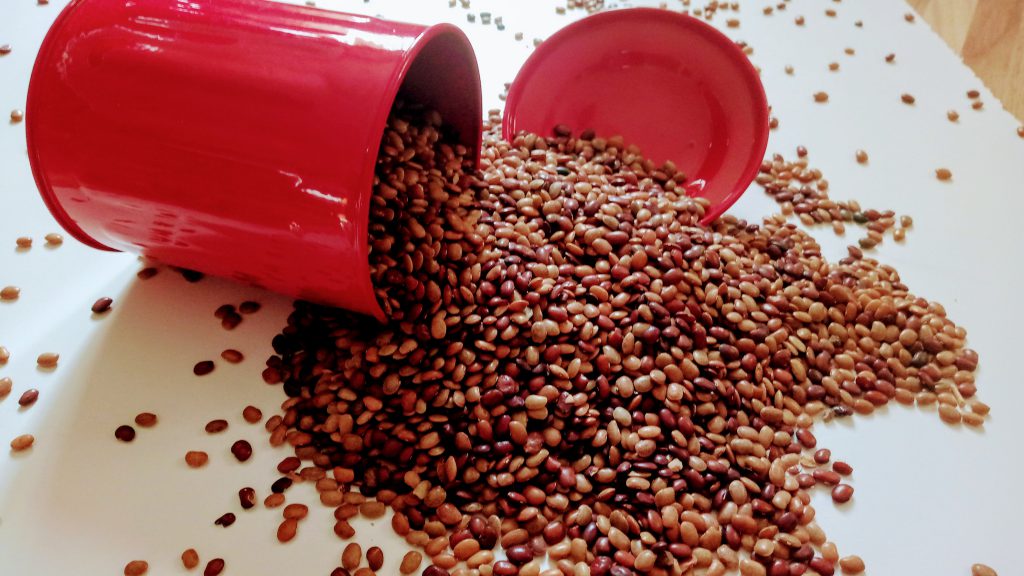 Horse gram benefits a wonder legume Muthira Kulthi Kollu